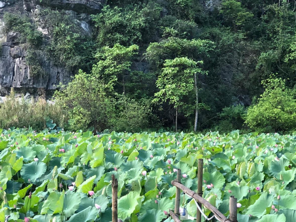 Trang An River View Homestay نينه بينه المظهر الخارجي الصورة